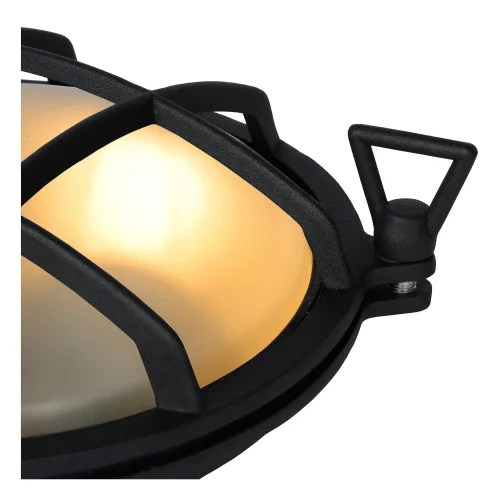 Настенный светильник Dudley 11890/25/30 Lucide уличный IP65 чёрный 1 лампа, плафон белый в стиле винтаж современный E27 фото 4